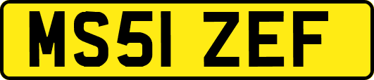 MS51ZEF