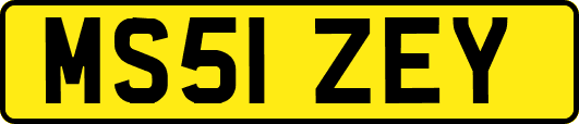 MS51ZEY