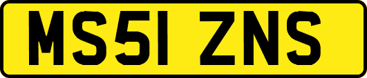 MS51ZNS