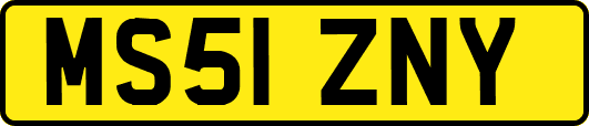 MS51ZNY