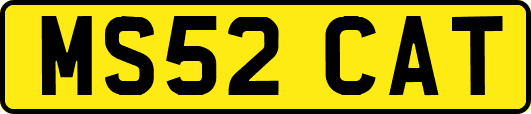 MS52CAT