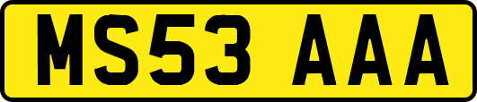 MS53AAA