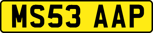 MS53AAP