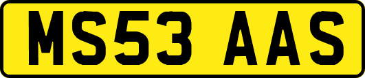 MS53AAS