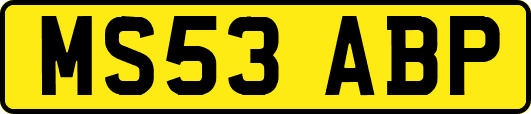 MS53ABP