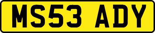 MS53ADY