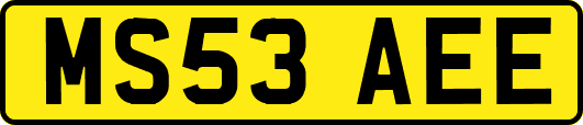 MS53AEE