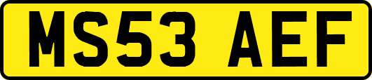 MS53AEF