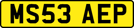 MS53AEP