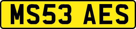 MS53AES