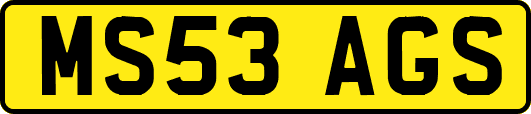 MS53AGS