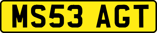 MS53AGT