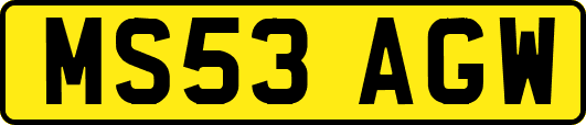 MS53AGW