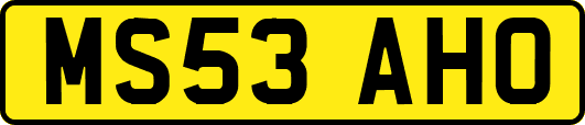MS53AHO