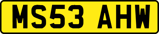 MS53AHW