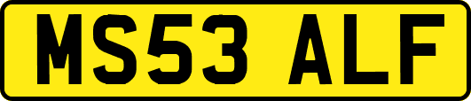 MS53ALF