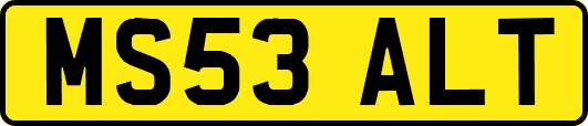 MS53ALT