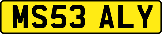MS53ALY
