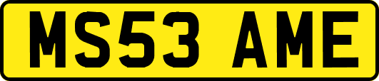 MS53AME