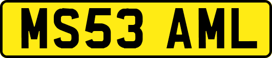 MS53AML