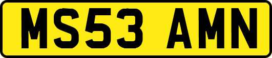 MS53AMN