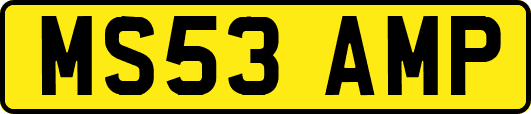 MS53AMP