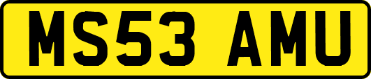 MS53AMU