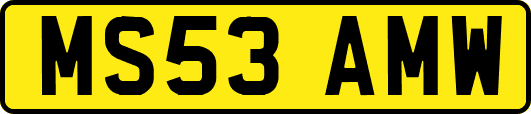 MS53AMW