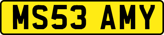 MS53AMY