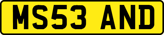 MS53AND