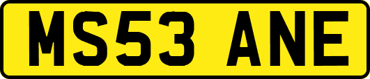 MS53ANE