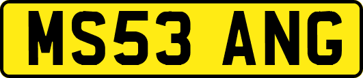 MS53ANG