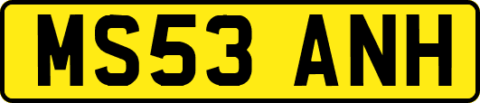 MS53ANH