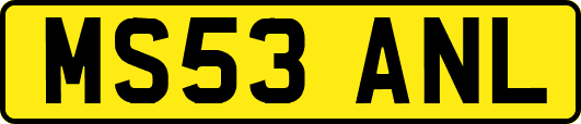 MS53ANL