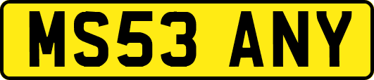 MS53ANY