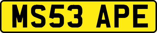 MS53APE