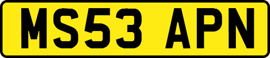 MS53APN