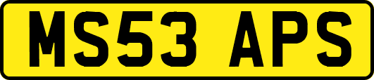 MS53APS
