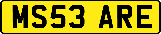 MS53ARE