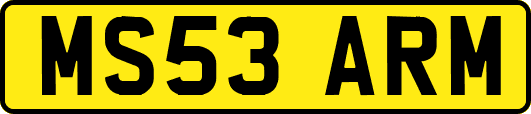 MS53ARM