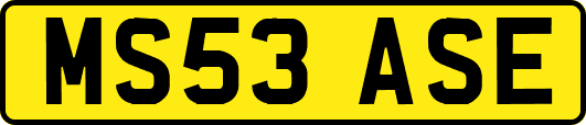 MS53ASE