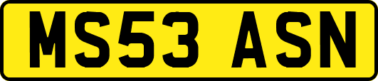 MS53ASN