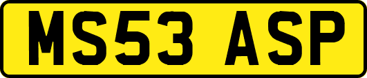 MS53ASP