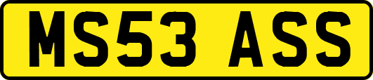 MS53ASS