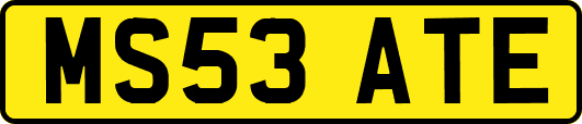 MS53ATE