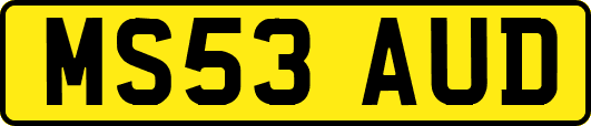 MS53AUD