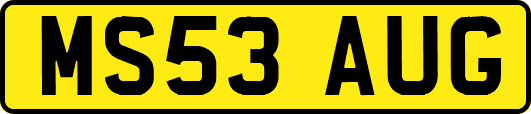 MS53AUG