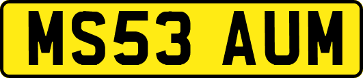 MS53AUM