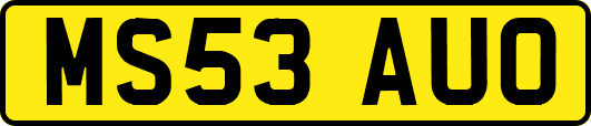 MS53AUO
