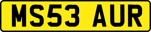 MS53AUR